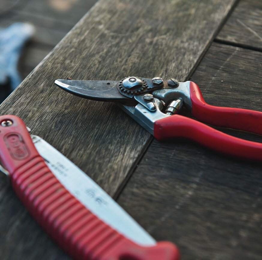 Werkzeug für die Baumpflege