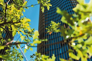Begrünung bei Towers
