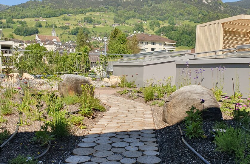 Trittsteine aus Rubinienholz