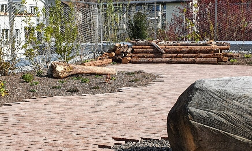 Biodiversitätsgarten auf einer Terrasse eines Bürogebäudes