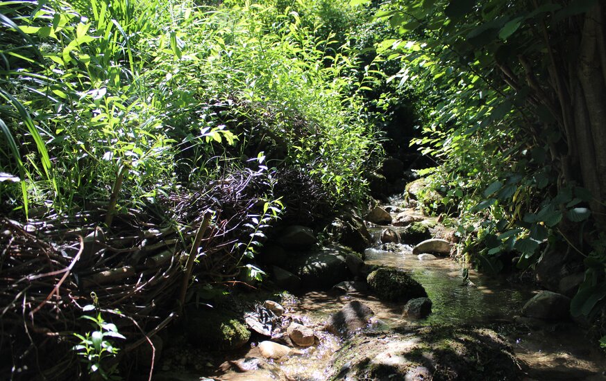 Bachlauf begrünt und mit Steinen