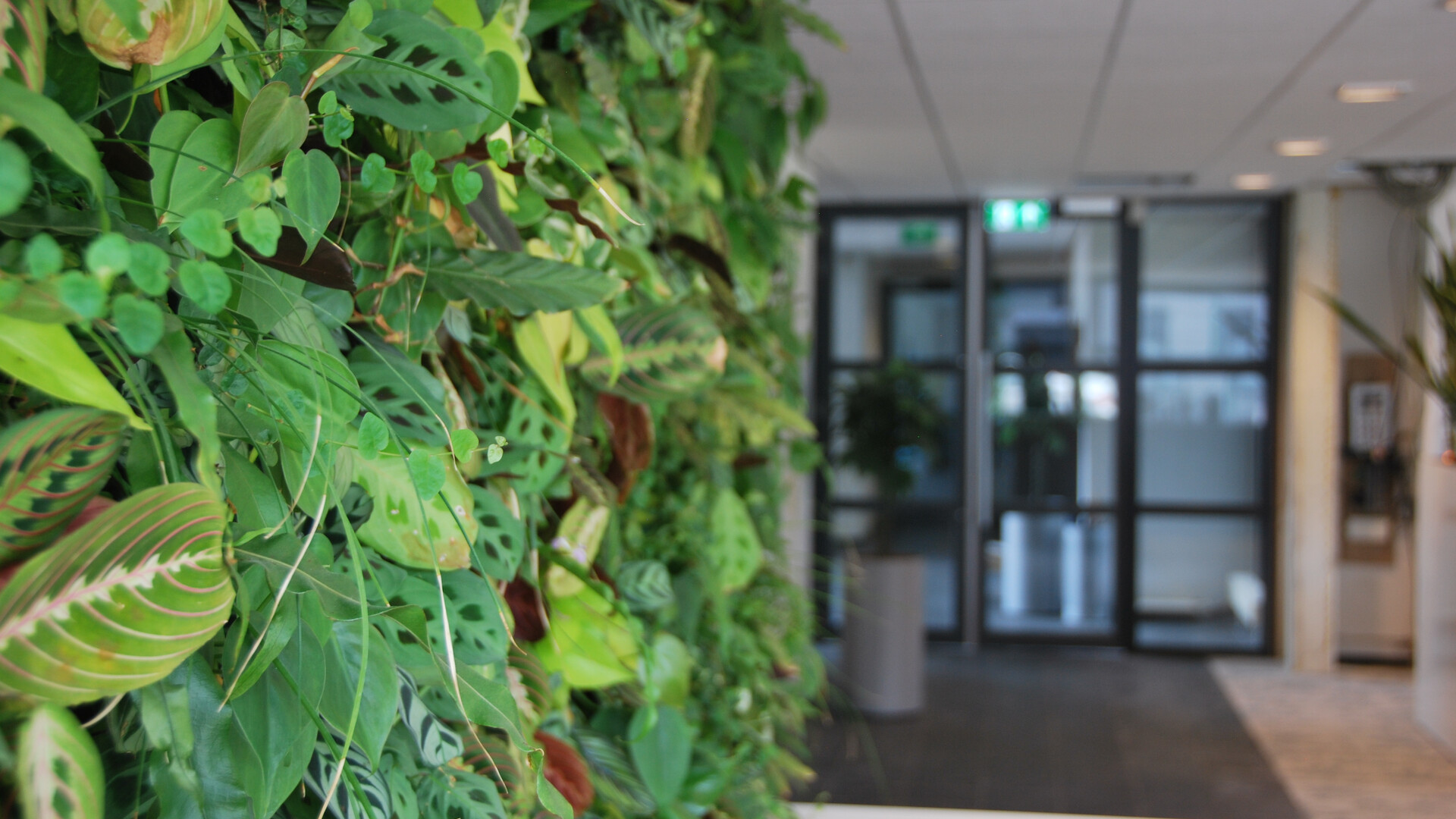 Nahaufnahme vertikaler Indoorgarten