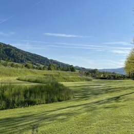 Naturnah gestalteter Gartenpark