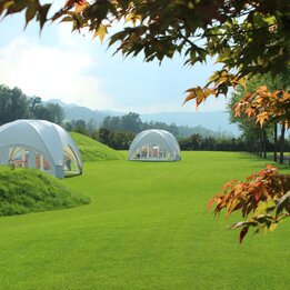 Street Food im Gartenpark