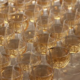 Weingläser für ein Gartenfest