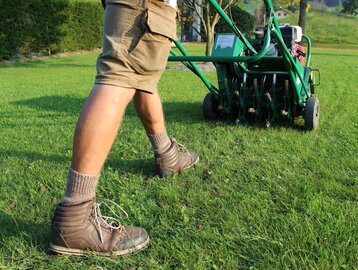 Rasenpflege