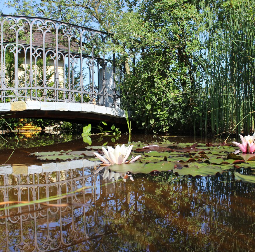 Brücke mit Seerosen in einem englischen Landschaftsgarten