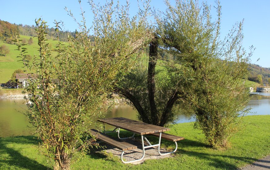 Weidenstruktur auf Spielplatz